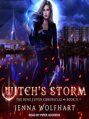 cover image of Witch's Storm